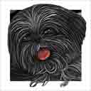 shih tzu dog art and dog headshots, shih tzu dog pop art prints, dog paintings, dog portraits and dog headshots pet prints in colorful original shih tzu dog art and fine art shih tzu dog prints by artists Jane Billman and Gregg Billman
