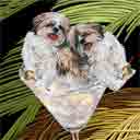 tricolor shih tzus dog art and martini dogs, shih tzus dog pop art, dog paintings, party dogs and martini pet portraits in colorful original shih tzus dog art and fine art shih tzus dog prints by artist Jane Billman and Gregg Billman