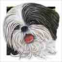 shih tzu dog art and dog headshots, shih tzu dog pop art prints, dog paintings, dog portraits and dog headshots pet prints in colorful original shih tzu dog art and fine art shih tzu dog prints by artists Jane Billman and Gregg Billman