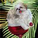 shih tzu dog art and wine dogs, shih tzu dog pop art, dog paintings, party dogs and wine pet portraits in colorful original shih tzu dog art and fine art shih tzu dog prints by artist Jane Billman and Gregg Billman