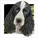 black and white springer spaniel dog art and dog headshots, springer spaniel dog pop art prints, dog paintings, pet portraits, dog headshots and pet prints in colorful original springer spaniel dog art and fine art dog prints by artists Jane Billman and Gregg Billman