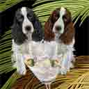 black and liver springer spaniel dog art and martini dogs, black and liver springer spaniel dog pop art prints, dog paintings, dog portraits and martini pet portraits in colorful original black and liver springer spaniel dog art and fine art dog prints by artists Jane Billman and Gregg Billman