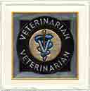 veterinarian career art prints, veterinarian gifts, veterinarian gifts for grads, graduation and professionals, veterinarian occupation art, veterinarian paintings and limited edition fine art prints by artists Jane Billman and Gregg Billman