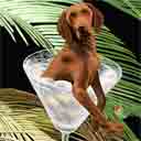 vizsla art, vizsla pop art dog prints, vizsla paintings, pet portraits and dog prints in colorful original dog art and fine art dog prints by artists Jane Billman and Gregg Billman