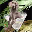 weimaraner dog art and martini dogs, weimaraner dog pop art, dog paintings, party dogs and martini pet portraits in colorful original weimaraner dog art and fine art weimaraner dog prints by artist Jane Billman and Gregg Billman