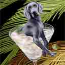 weimaraner dog art and martini dogs, weimaraner dog pop art, dog paintings, party dogs and martini pet portraits in colorful original weimaraner dog art and fine art weimaraner dog prints by artist Jane Billman and Gregg Billman