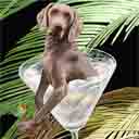 weimaraner dog art and martini dogs, weimaraner dog pop art, dog paintings, party dogs and martini pet portraits in colorful original weimaraner dog art and fine art weimaraner dog prints by artist Jane Billman and Gregg Billman