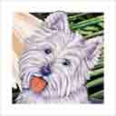 west highland terrier dog art and dog headshots, west highland terrier dog pop art prints, dog paintings, dog portraits and dog headshots pet prints in colorful original west highland terrier dog art and fine art dog prints by artists Jane Billman and Gregg Billman