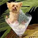 yorkie art, yorkie pop art dog prints, yorkie paintings, pet portraits and dog prints in colorful original dog art and fine art dog prints by artists Jane Billman and Gregg Billman
