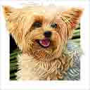 yorkie dog art and dog headshots, yorkie dog pop art prints, dog paintings, dog portraits and dog headshots pet prints in colorful original yorkie dog art and fine art dog prints by artists Jane Billman and Gregg Billman