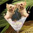 yorkies dog art and martini dogs, yorkies dog pop art prints, dog paintings, party dogs and martini pet portraits in colorful original yorkies dog art and fine art dog prints by artist Jane Billman and Gregg Billman